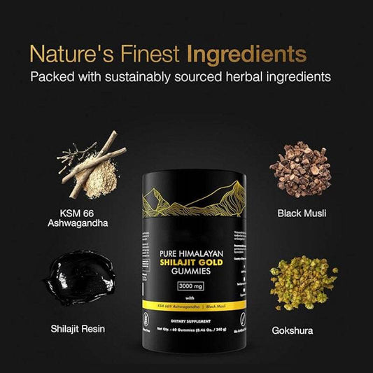 Premium Shilajit Gummies Natural Energy Immunity Mood Vegetarian Non-GMO Gummies - Price Value Store