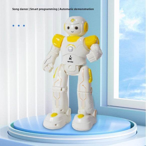 Programmable Remote Control Robot Toy - Price Value Store