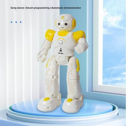 Programmable Remote Control Robot Toy - Price Value Store