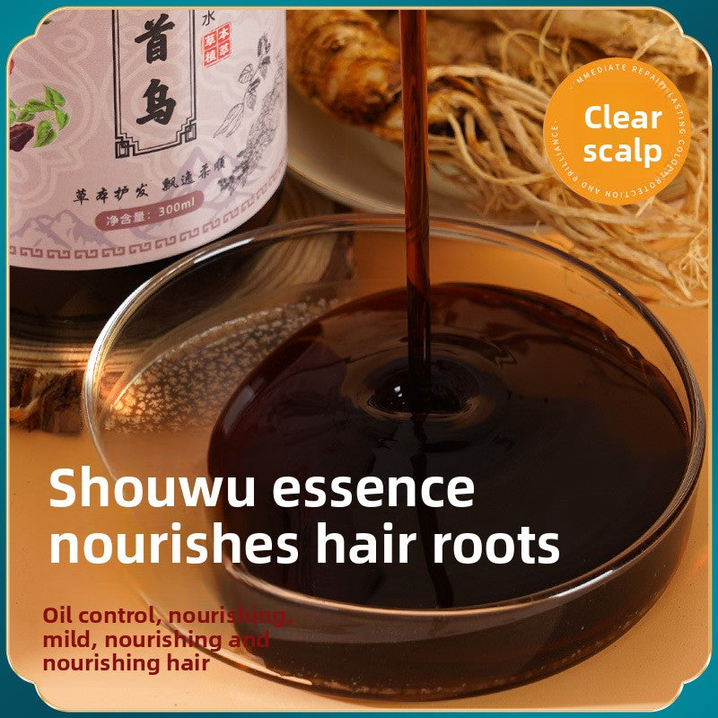 Polygonum Multiflorum Herbal Hair - Nourishing Shampoo