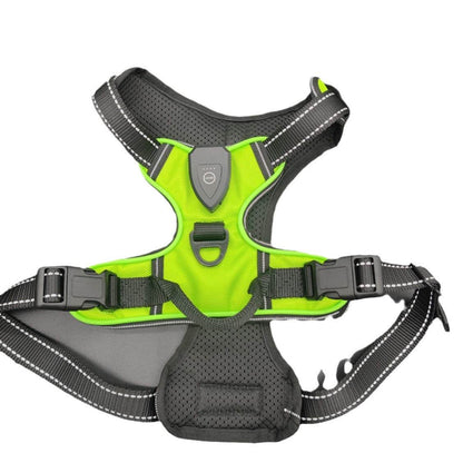 LED lighting pet harness leash - Price Value Store